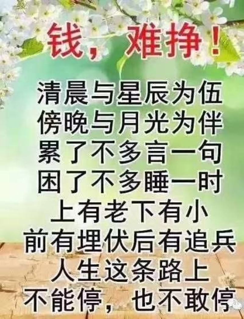 圆叶淫羊藿尖叶淫羊藿内涵品质高野生态