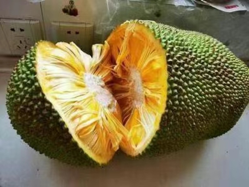 海南菠萝蜜自产自发支持电商社区团购一件代发坏包赔