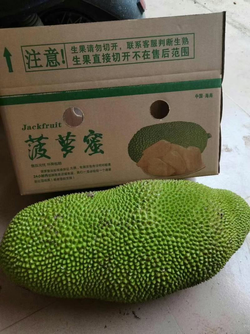 海南菠萝蜜自产自发支持电商社区团购一件代发坏包赔