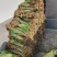 香蒲苗，水烛，东方香蒲蒲棒草大量供应水烛苗