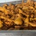 盐焗鸡腿地摊卤菜店现捞厂家直销价格美丽量大从优