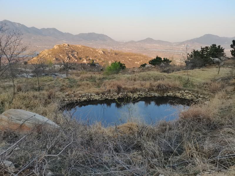 低价转让千亩山地，含已办理林权证林地405亩