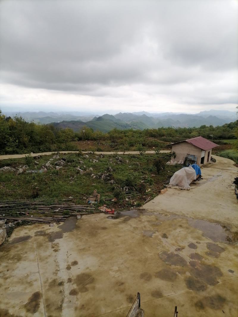 农业生态园寻求合作伙伴，