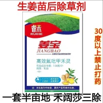 姜宝一年生禾本科阔叶苗后除草剂禾阔安全型定向除草剂生姜