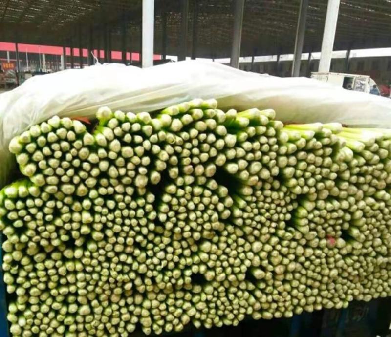 芹菜河北永年精品芹菜大量供应，有需要的朋友联系我