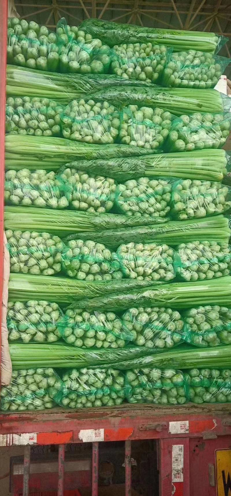 芹菜河北永年精品芹菜大量供应，有需要的朋友联系我