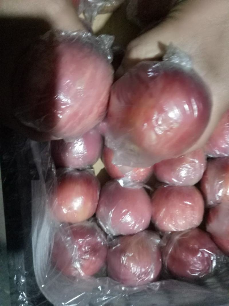 山西临猗膜袋冰糖心苹果，对接电商，超市，加工厂