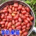 羊奶果树苗嫁接甜胡颓子果树苗当年结果南北方种盆栽地包邮