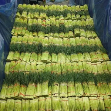 宁陵精品蒜薹上市产地直发需要的联系
