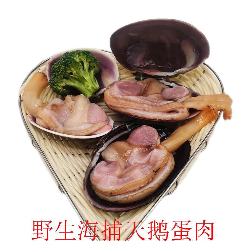 新鲜天鹅蛋鲜活海捕大蛤蜊天鹅蛋肉紫石房蛤海鲜水产贝类