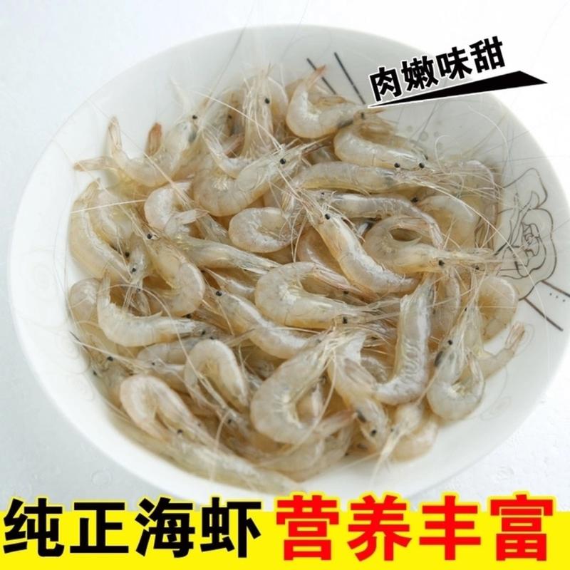 小虾海水虾鲜活小虾子小虾子海水鲜活小虾子