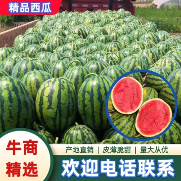 吉林甜王糖度高个头大均匀皮薄瓤红受市场欢迎