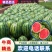 吉林甜王糖度高个头大均匀皮薄瓤红受市场欢迎