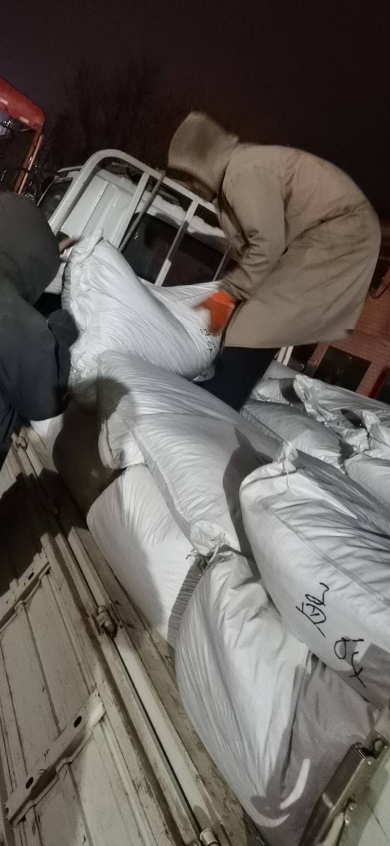 河北保定优质旱半夏种苗自产自销出售回收高产量低虫害