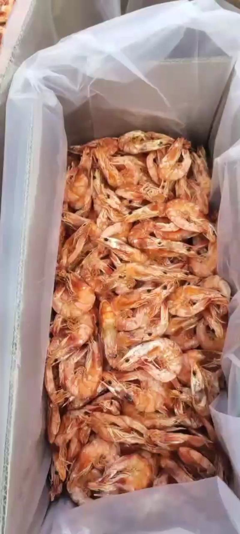 烤虾自己加工淡干无盐干度很好产地直发