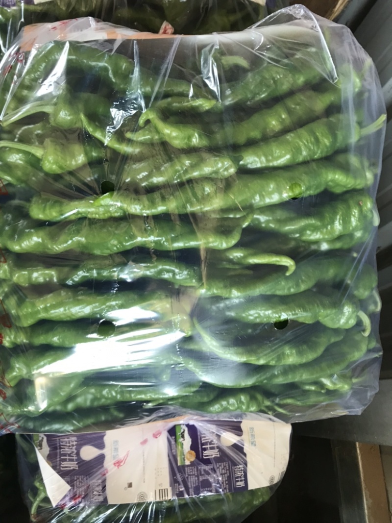 河北省唐山市滦南严涛种植收购专业合作社