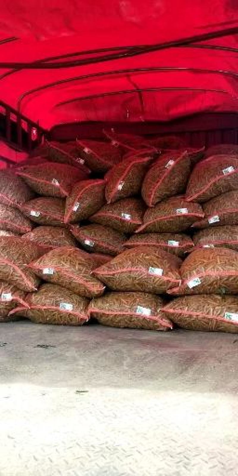 青豌豆角大量上市价格优惠