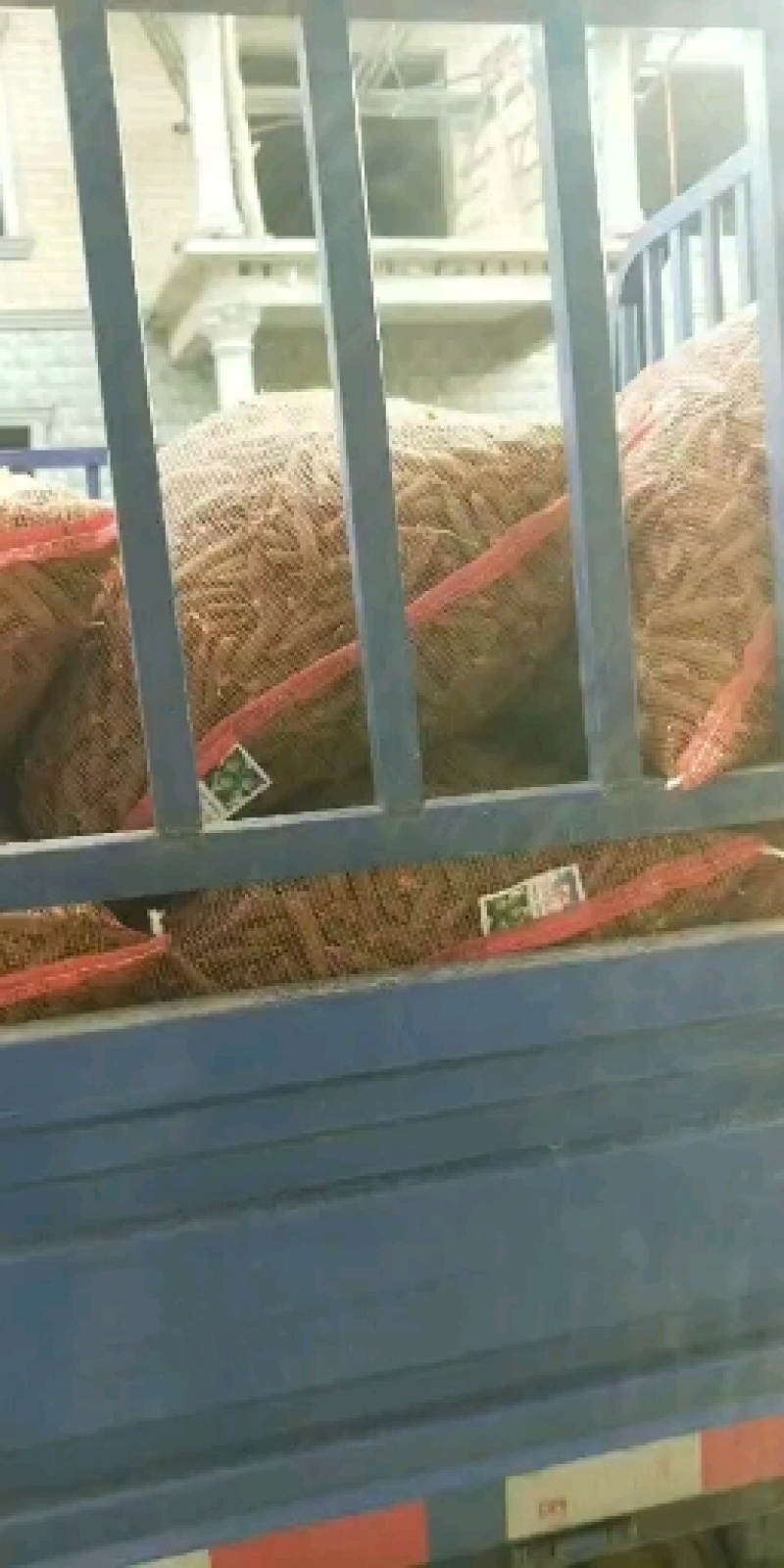 青豌豆角大量上市价格优惠