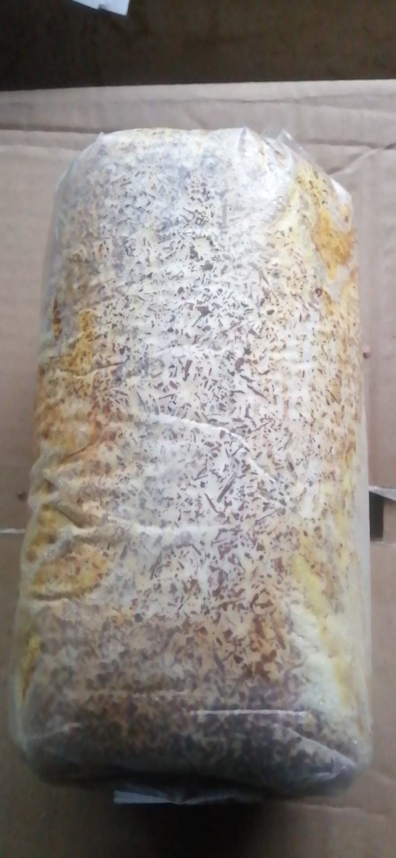 桑黄菌种菌包桑树桑黄，划扣即可出菇黄，食用菌菌种