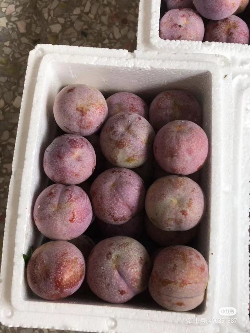正宗前排三华李精选靓果