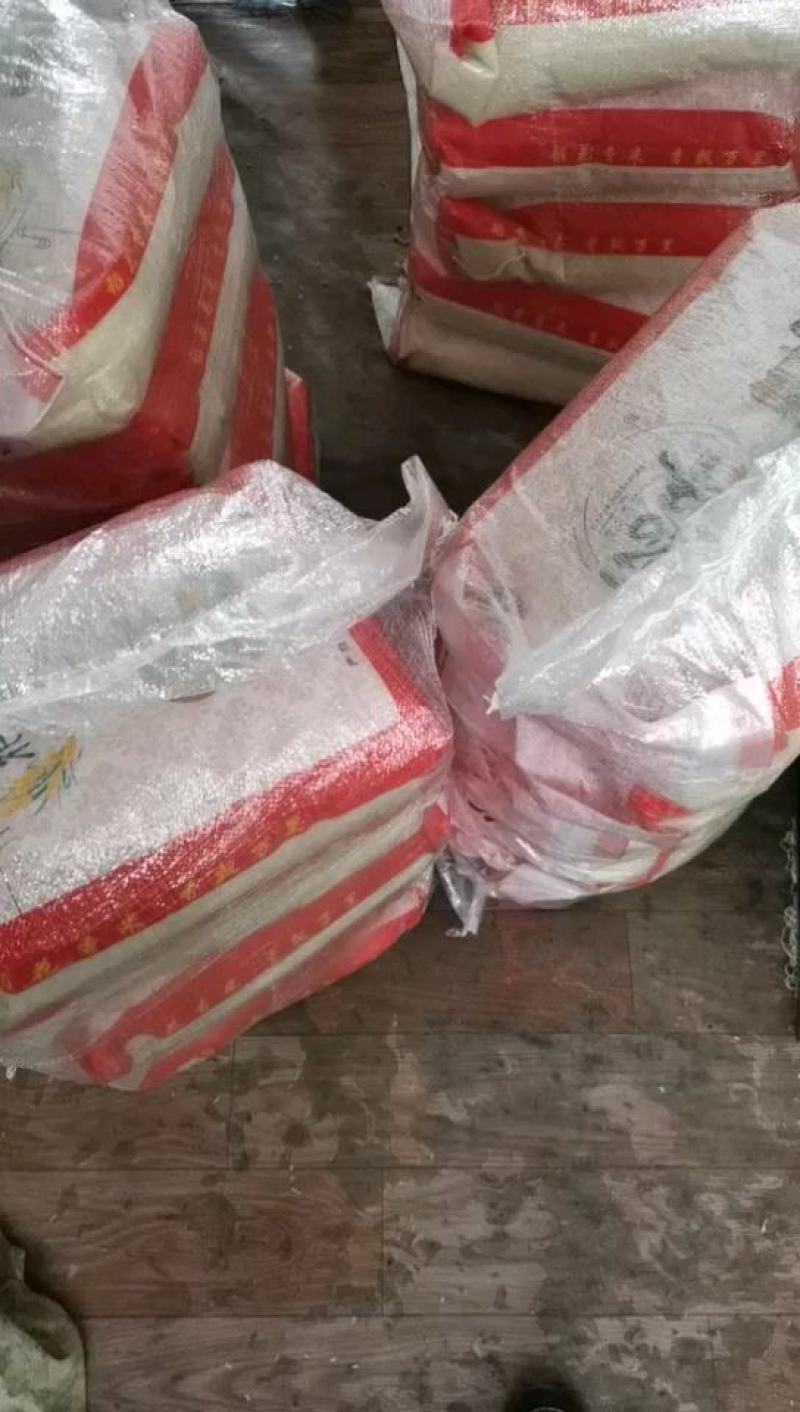 谷类作物