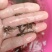 禾花鲤鱼苗，生长快，产量高，抗病毒强，养殖苗场直供。。。