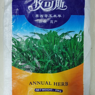 墨西哥高产牧草种子批发沭阳县绿之洲花卉有限公司