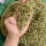 金银花二花湖南金银花一手货源产地直销量大从优
