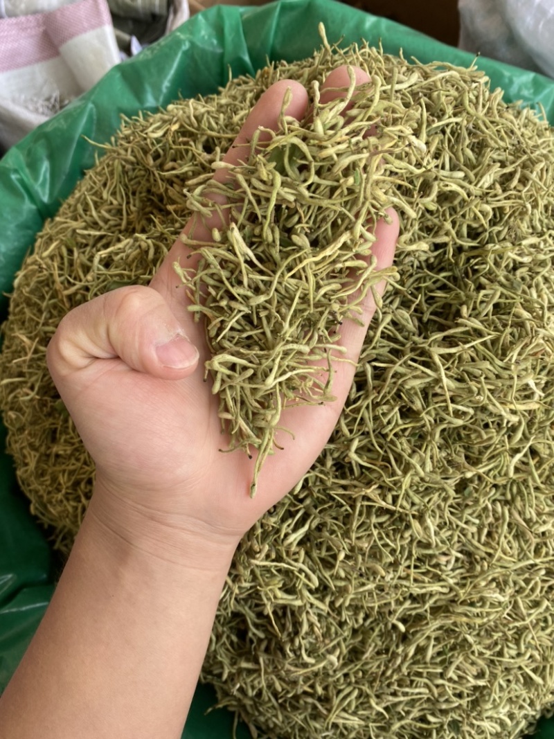 金银花二花湖南金银花一手货源产地直销量大从优