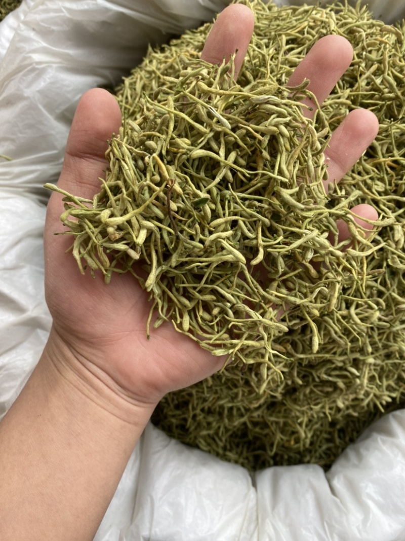 金银花二花湖南金银花一手货源产地直销量大从优