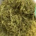 金银花二花湖南金银花一手货源产地直销量大从优