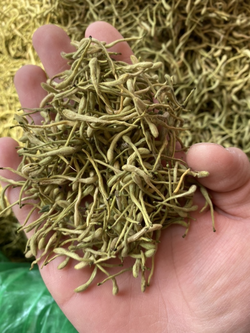 金银花二花湖南金银花一手货源产地直销量大从优