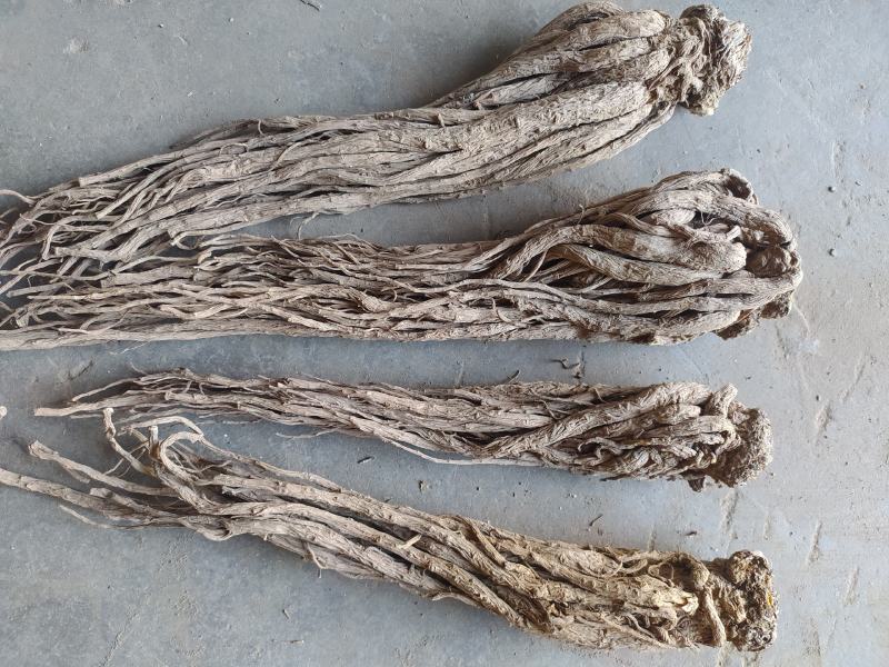 当归岷当归马尾归无硫原条黑高含量品质优新货大量现货供应