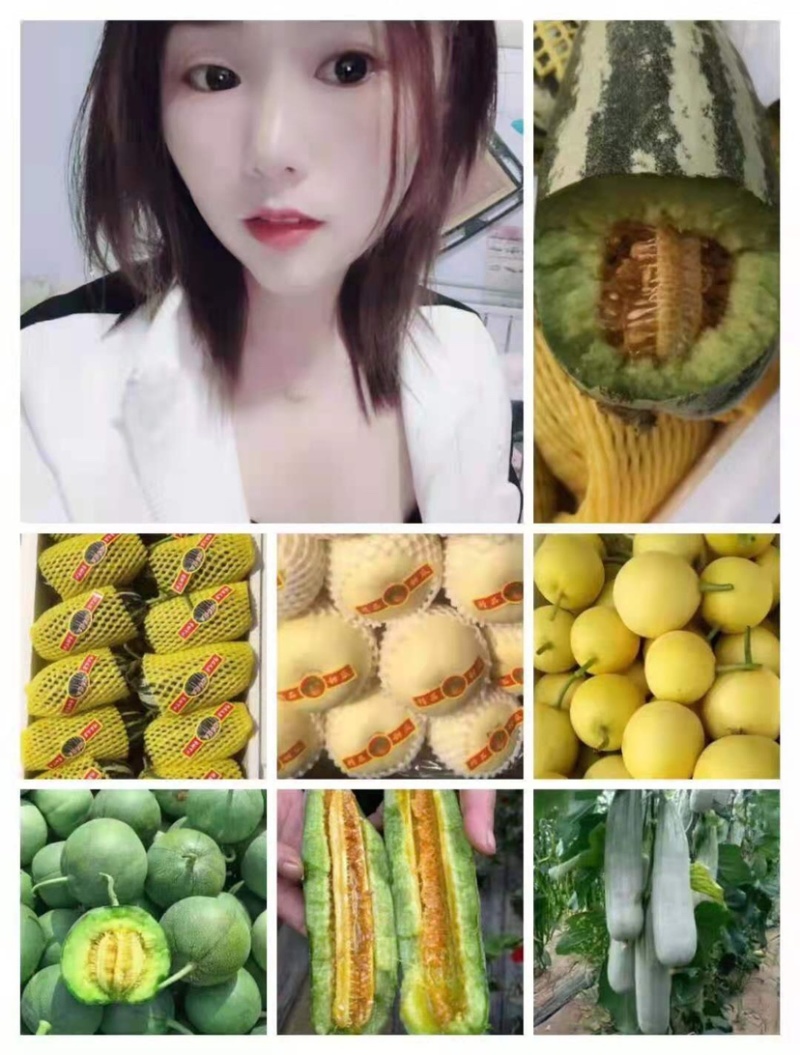 山东精品星甜甜瓜甜度高货量大产地直供