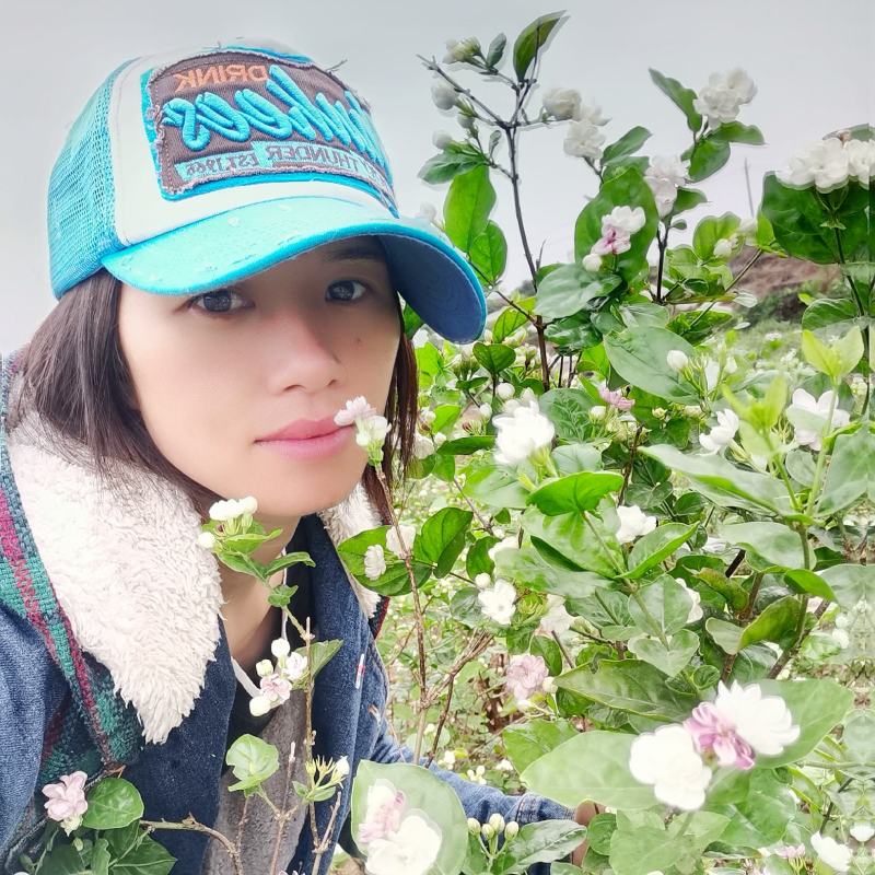 茉莉花地头老桩，新苗