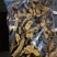 虎杖，纯野生多年虎杖根，药效更好，鲜，干货均有。
