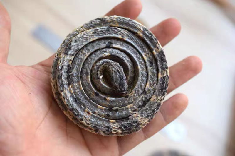 白花蛇金钱白花蛇乌梢蛇批发各种中药材