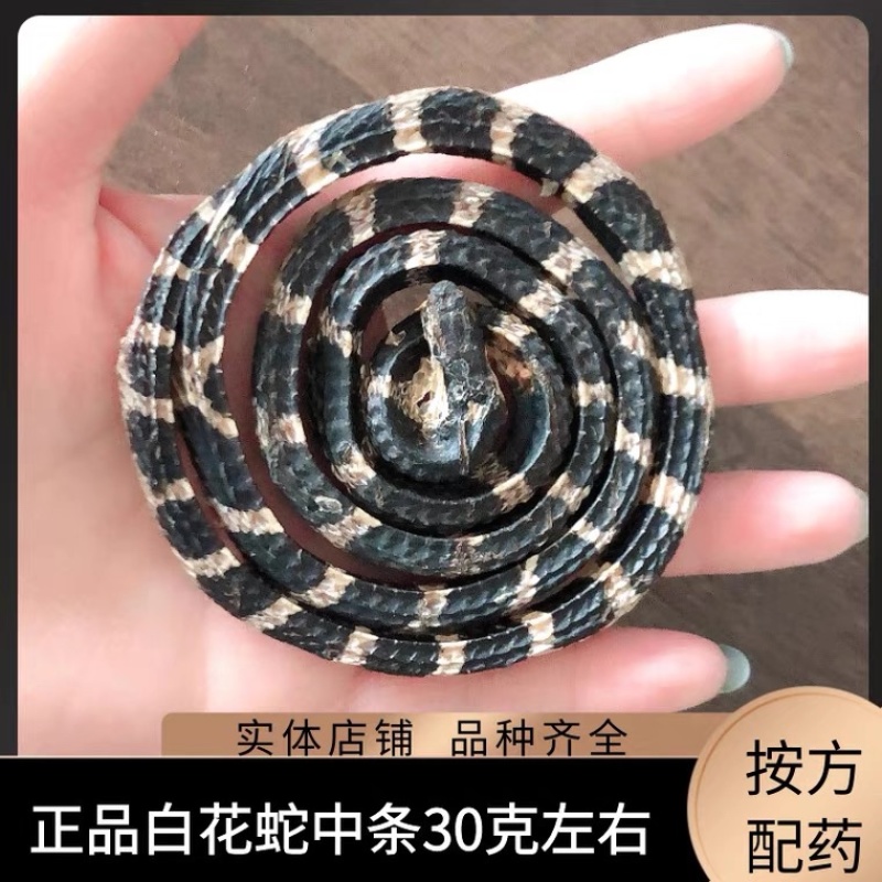 白花蛇金钱白花蛇乌梢蛇批发各种中药材
