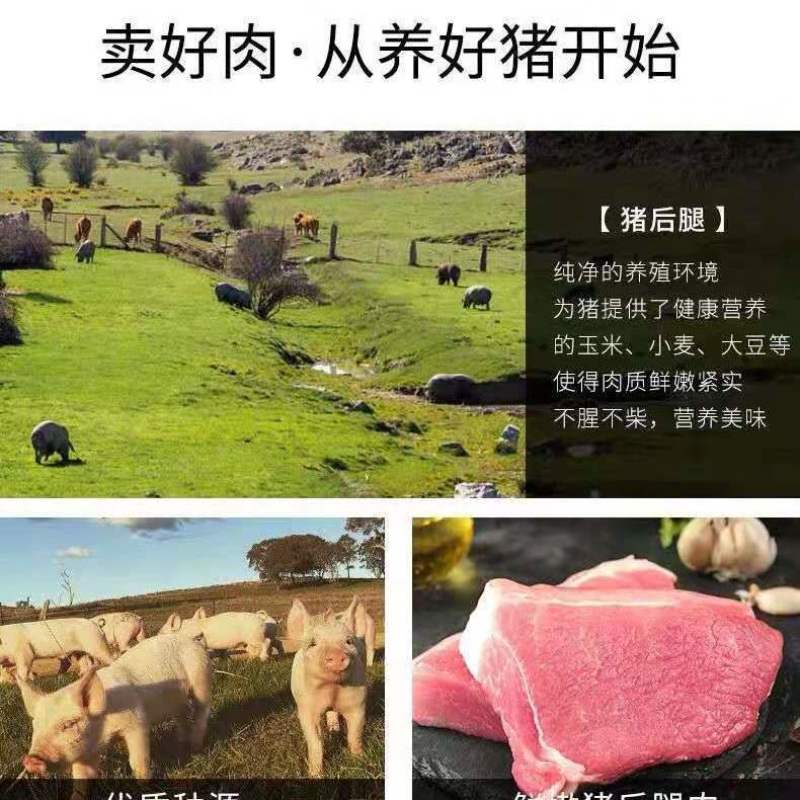 猪肉猪后腿肉精红肉特惠10斤装生猪肉去骨去皮纯瘦肉