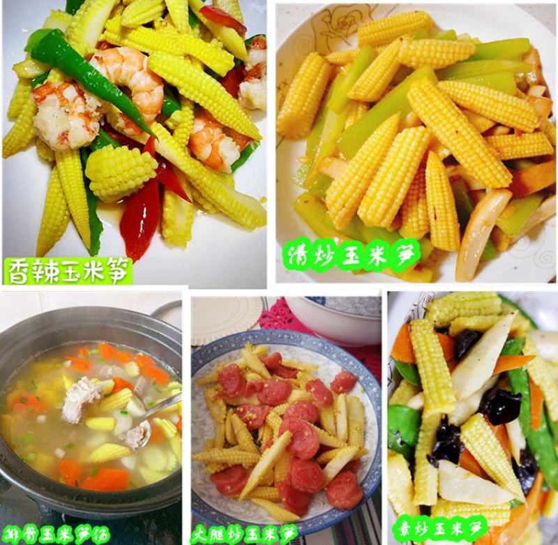 新鲜甜玉米笋小玉米芯仔新鲜蔬菜现摘迷你玉米笋水果玉米包邮