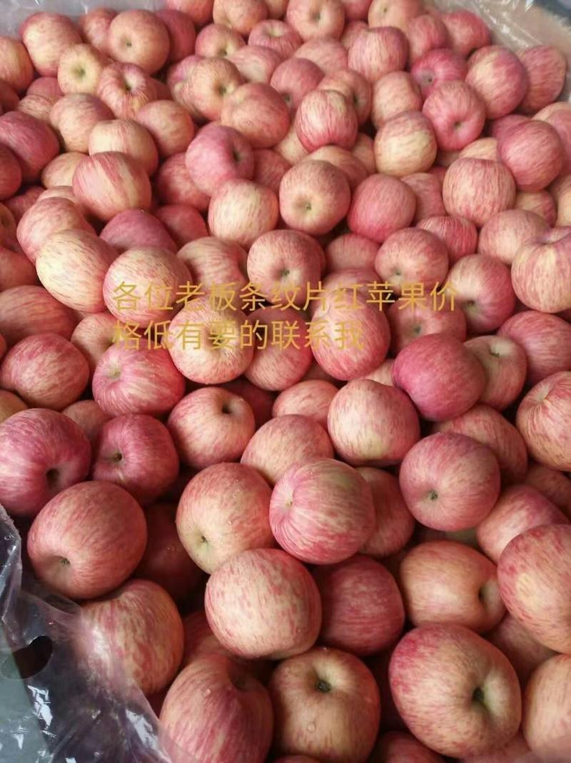 【牛商推荐】红富士苹果，库存红富士苹果，大量批发包装齐全