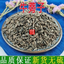 云南野生中药材牛蒡子牛旁子大力子包邮