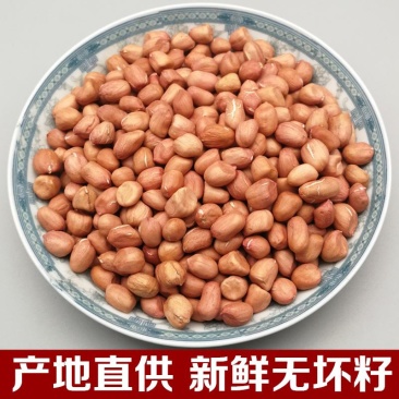 精品花生米