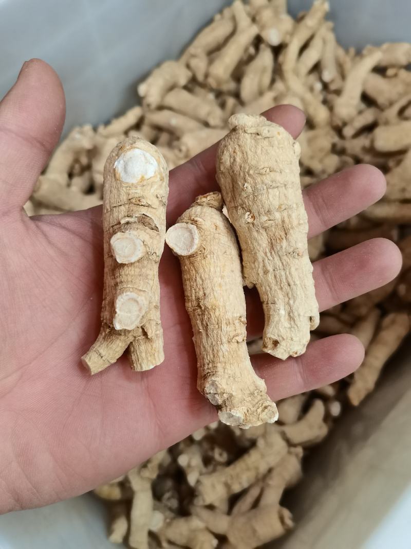 精品西洋参短枝短粒头价格优惠售完即止足干货