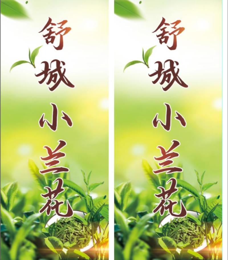 2024新茶舒城小兰花茶安徽高山绿茶兰花香型