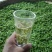 2024新茶舒城小兰花茶安徽高山绿茶兰花香型