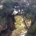 2024新茶舒城小兰花茶安徽高山绿茶兰花香型