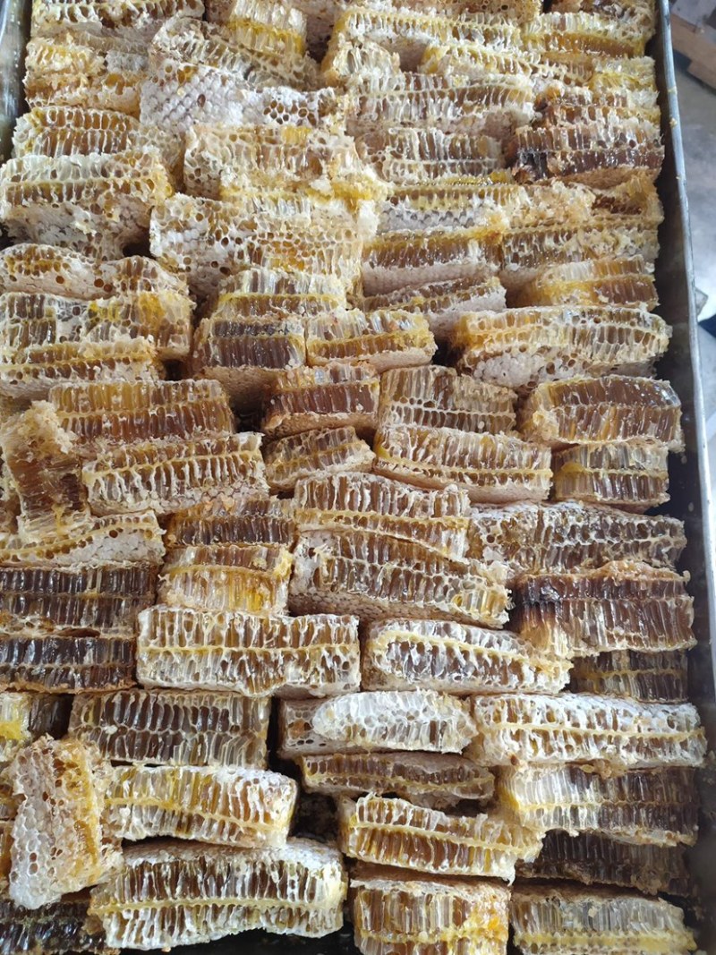 蜂蜜巢蜂巢蜜散装铁框蜂蜜农家蜂蜜江湖跑量
