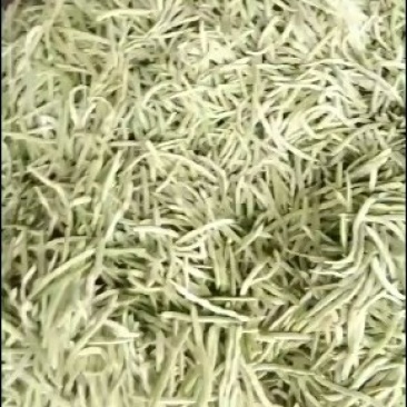 菏泽市成武县白不老基地