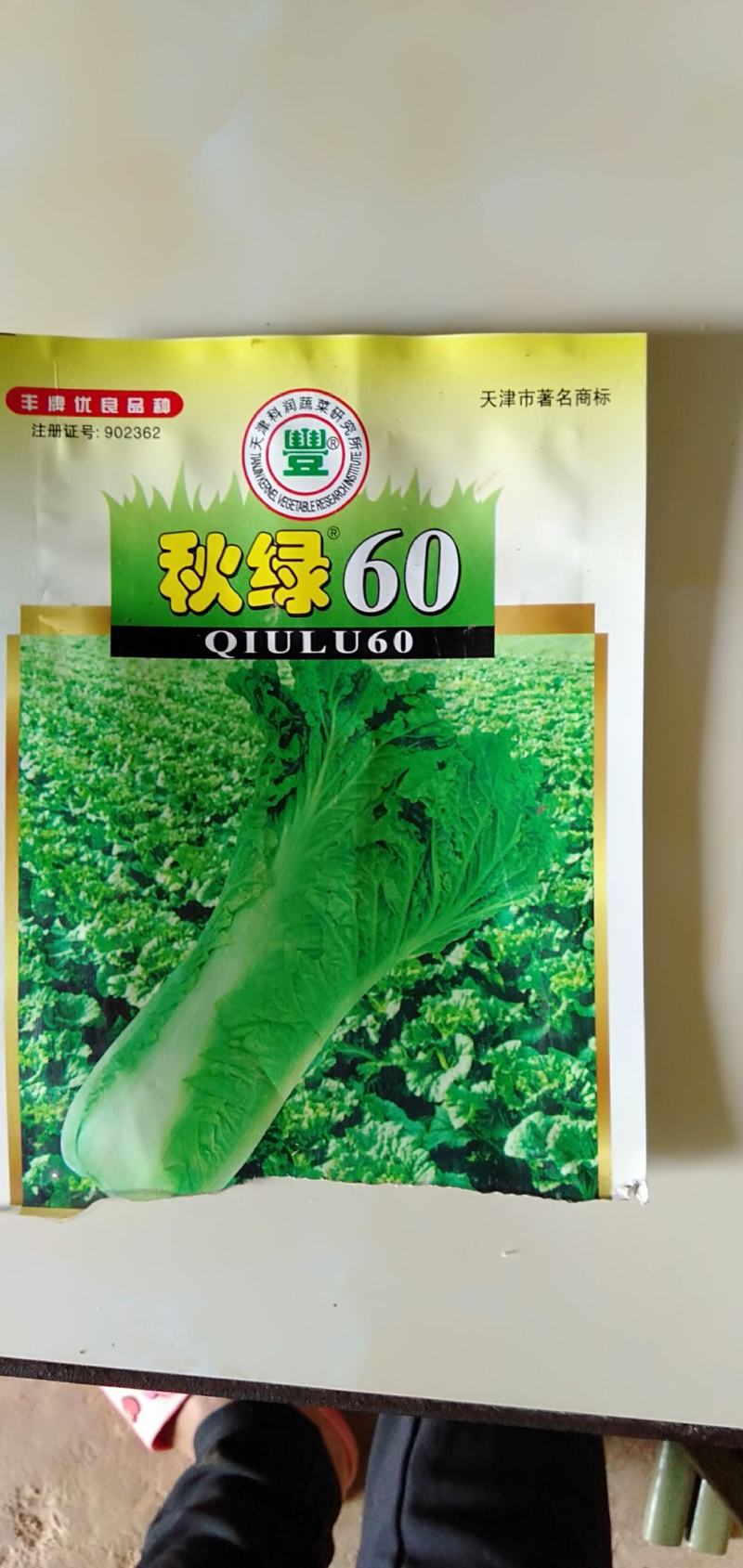 秋绿（60）苗好，农家育苗基地常年供应各种各样的蔬菜苗